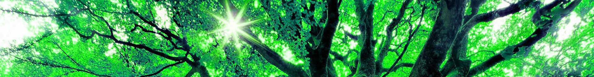 南京增輝景觀工程有限公司 南京增輝景觀工程有限公司